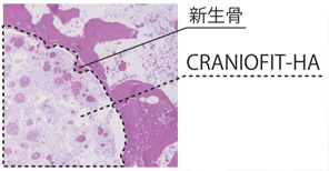 図版