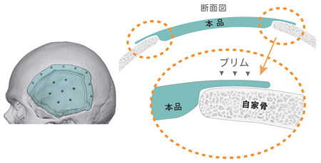 図版