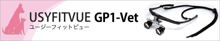 USYFITVUE GP1-Vet