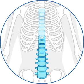 BIOPEX-R MVP | 医療関係者向け製品| 製品情報| HOYA Technosurgical